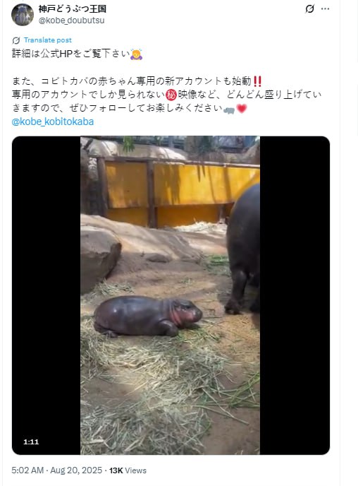 Official Uta Tweet